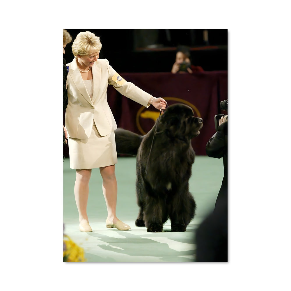Poster Compétition Canine