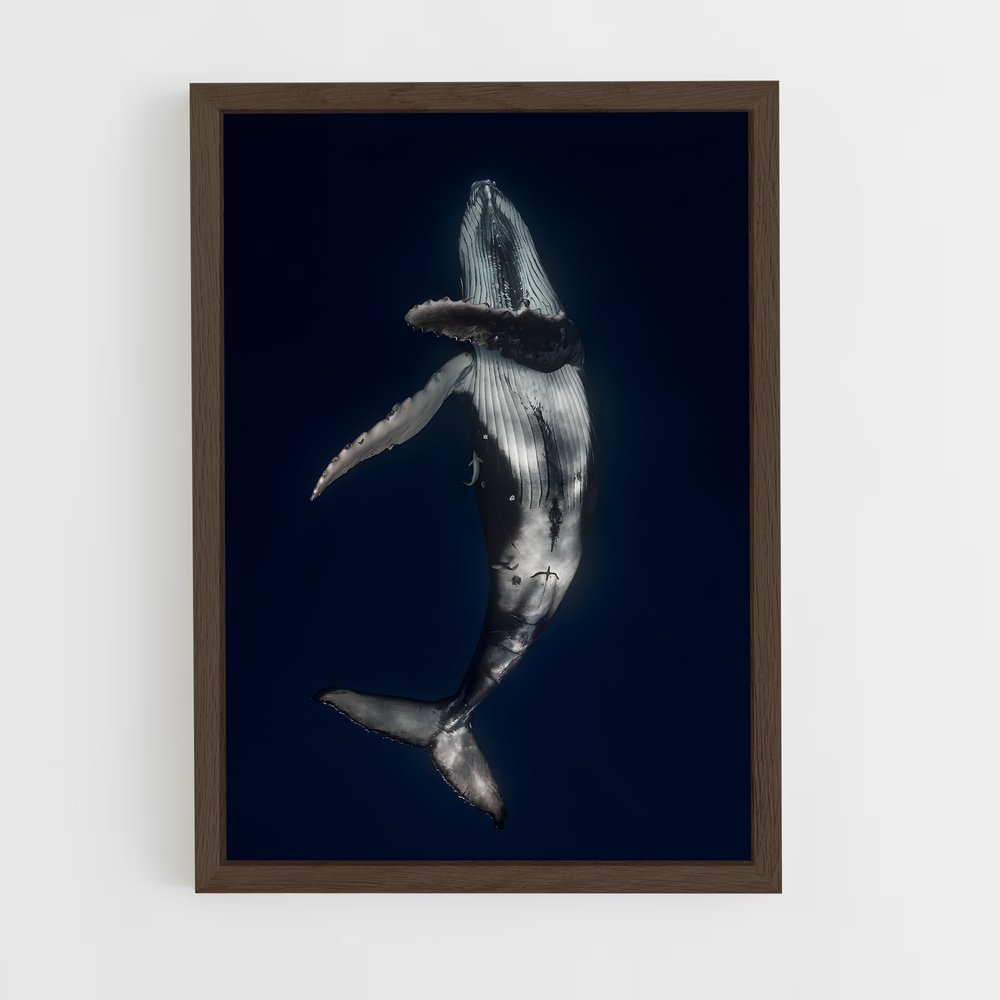 ap-whale-4 cadre Bois foncé