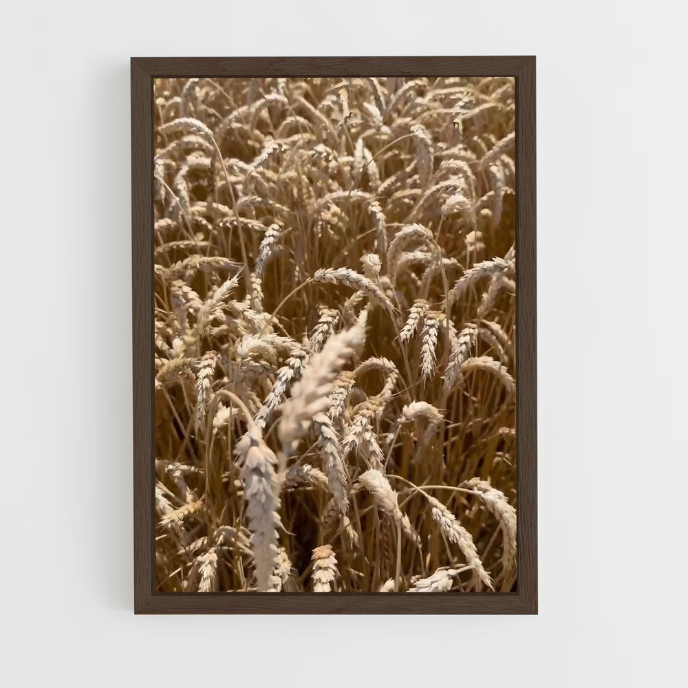 ap-wheat-3 cadre Bois foncé