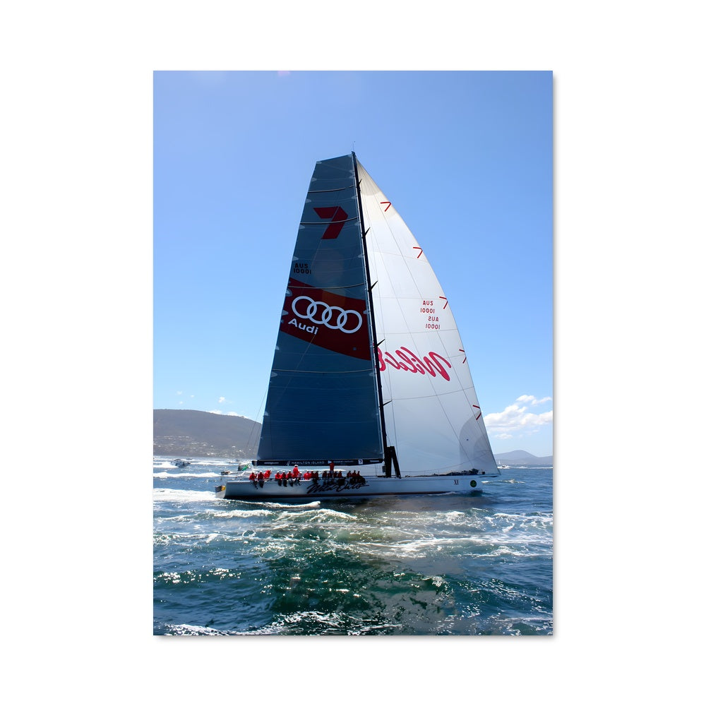 Poster Wild oats xi 80591