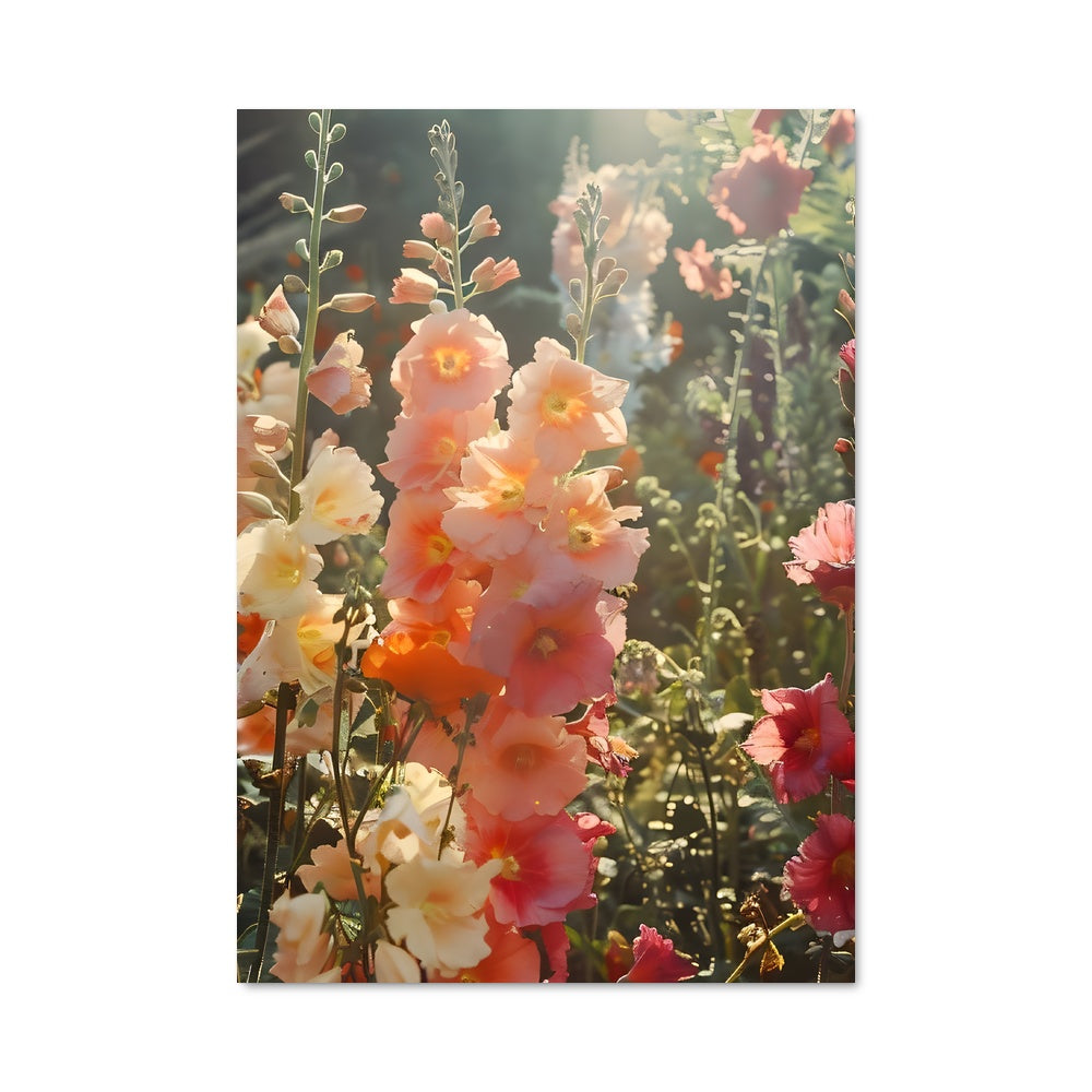 Poster Éclosion Pétale