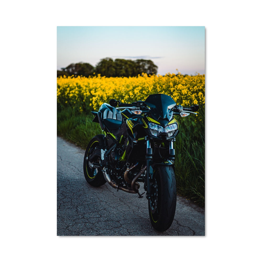 Poster Route Fleurie