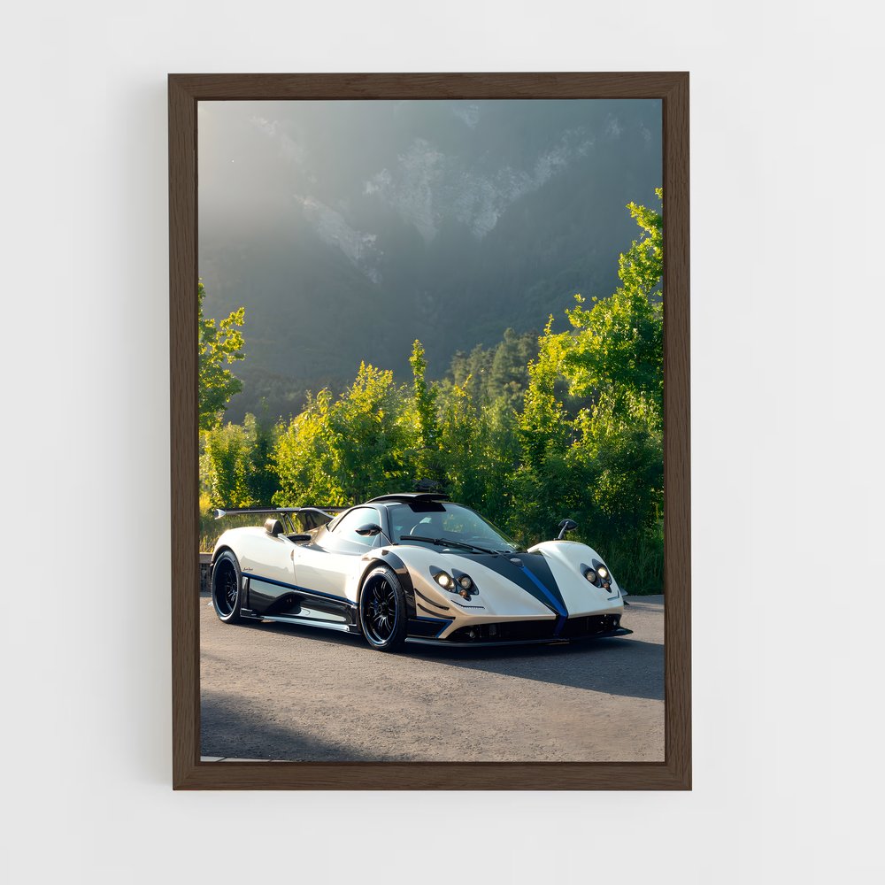 ap-zonda 760-3 cadre Bois foncé