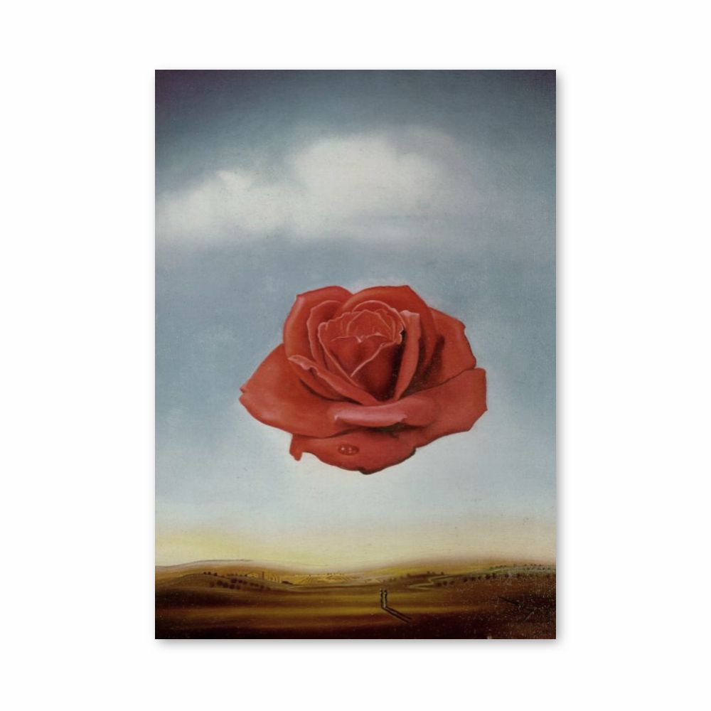 Poster Rose Méditative
