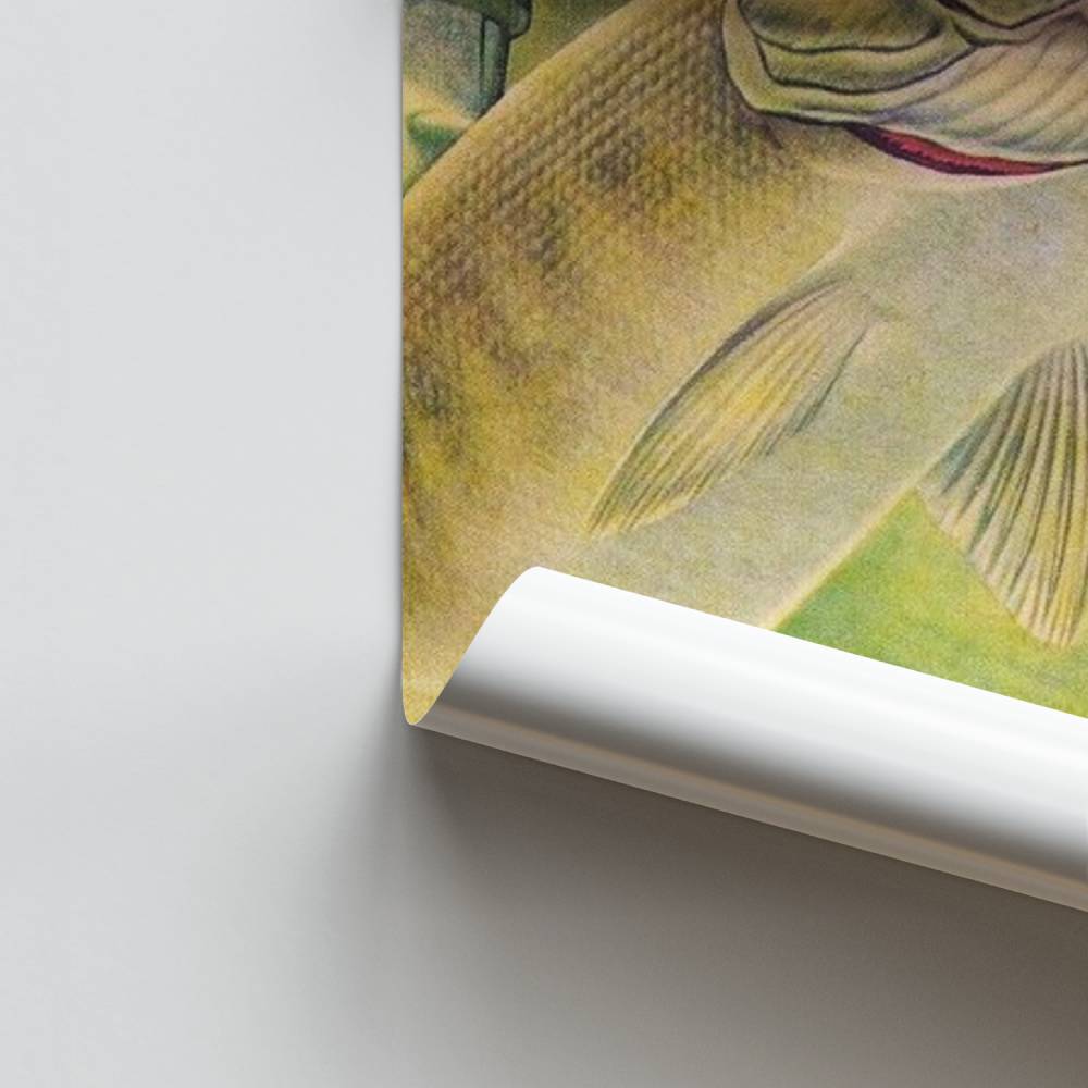 Poster Prise Majestueuse