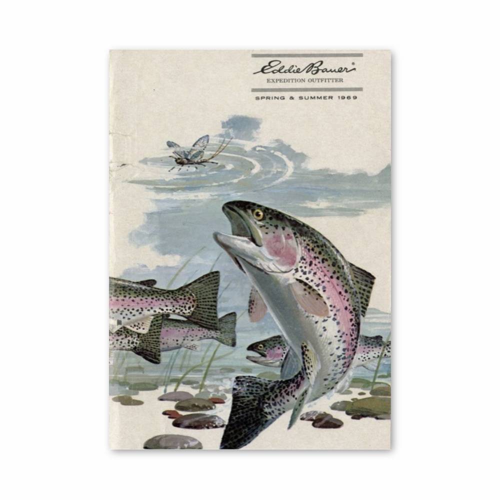 Poster Truite Éclatante