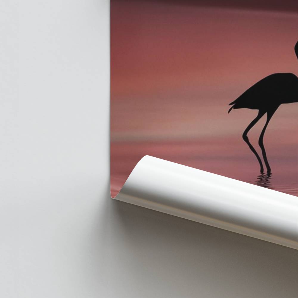 Romance de flamencos Póster