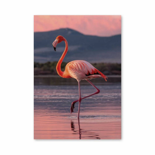 Poster Flamant Rose Éclatant