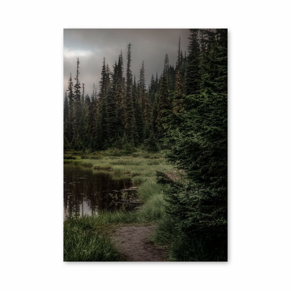 Poster Forêt Lac