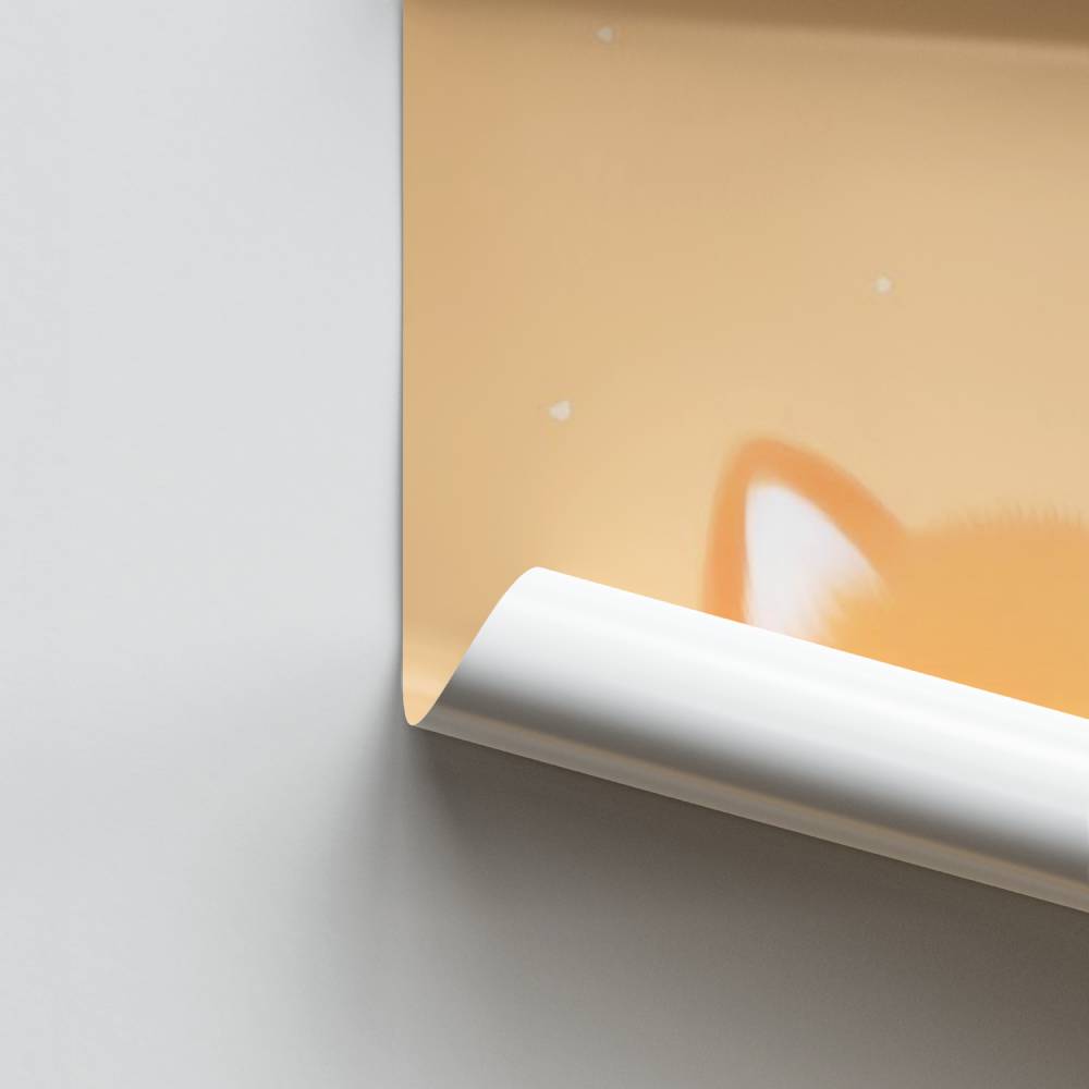 Zorro sereno Póster