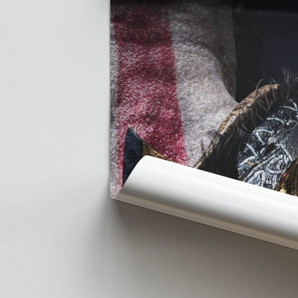 Guerrero nórdico Póster