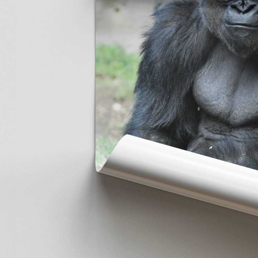 Póster Poder salvaje