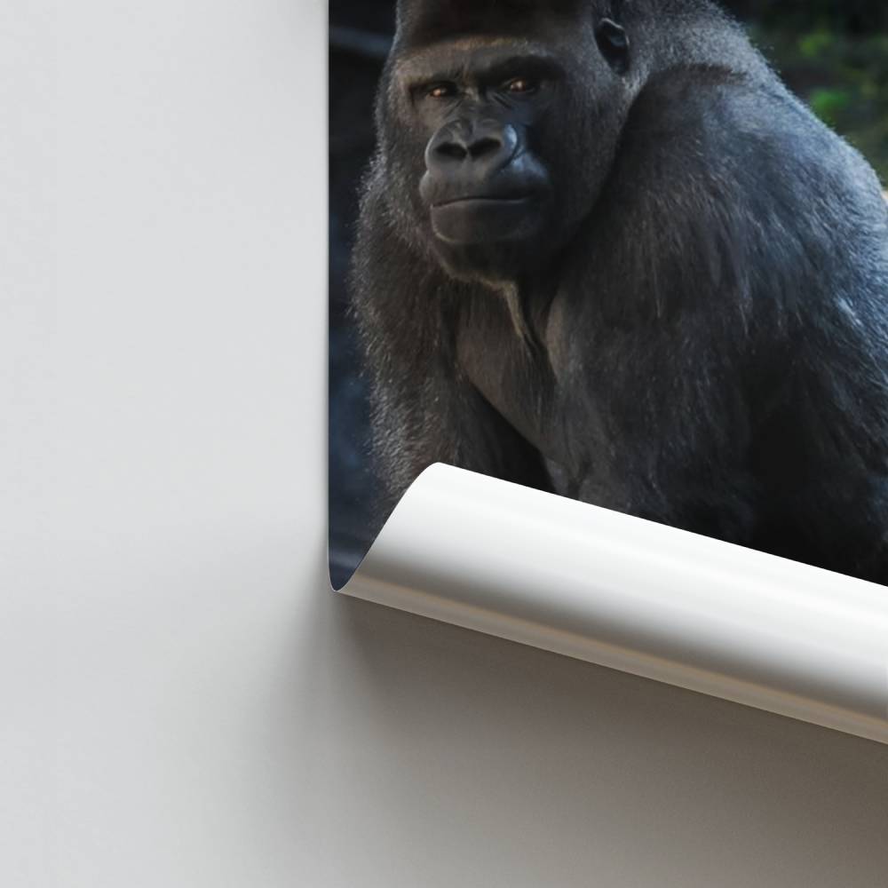 Póster Fuerza Primordial