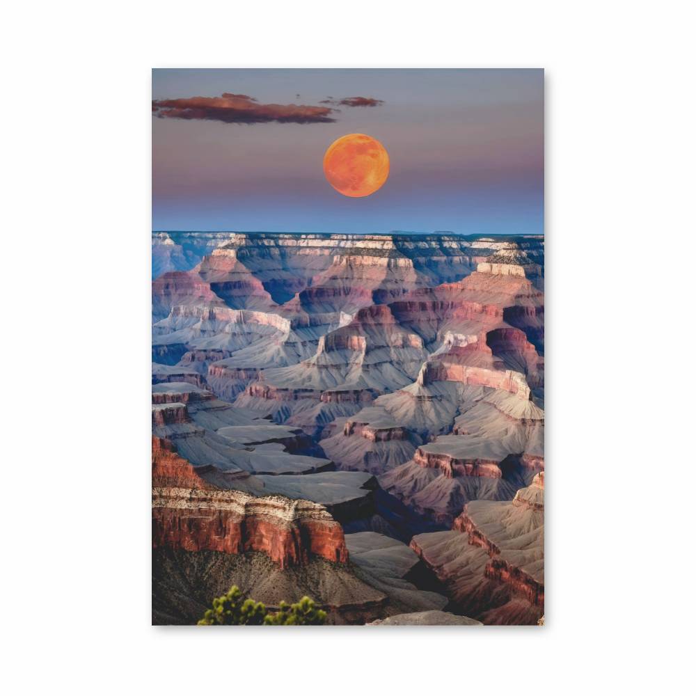 Poster Sunlit Canyon