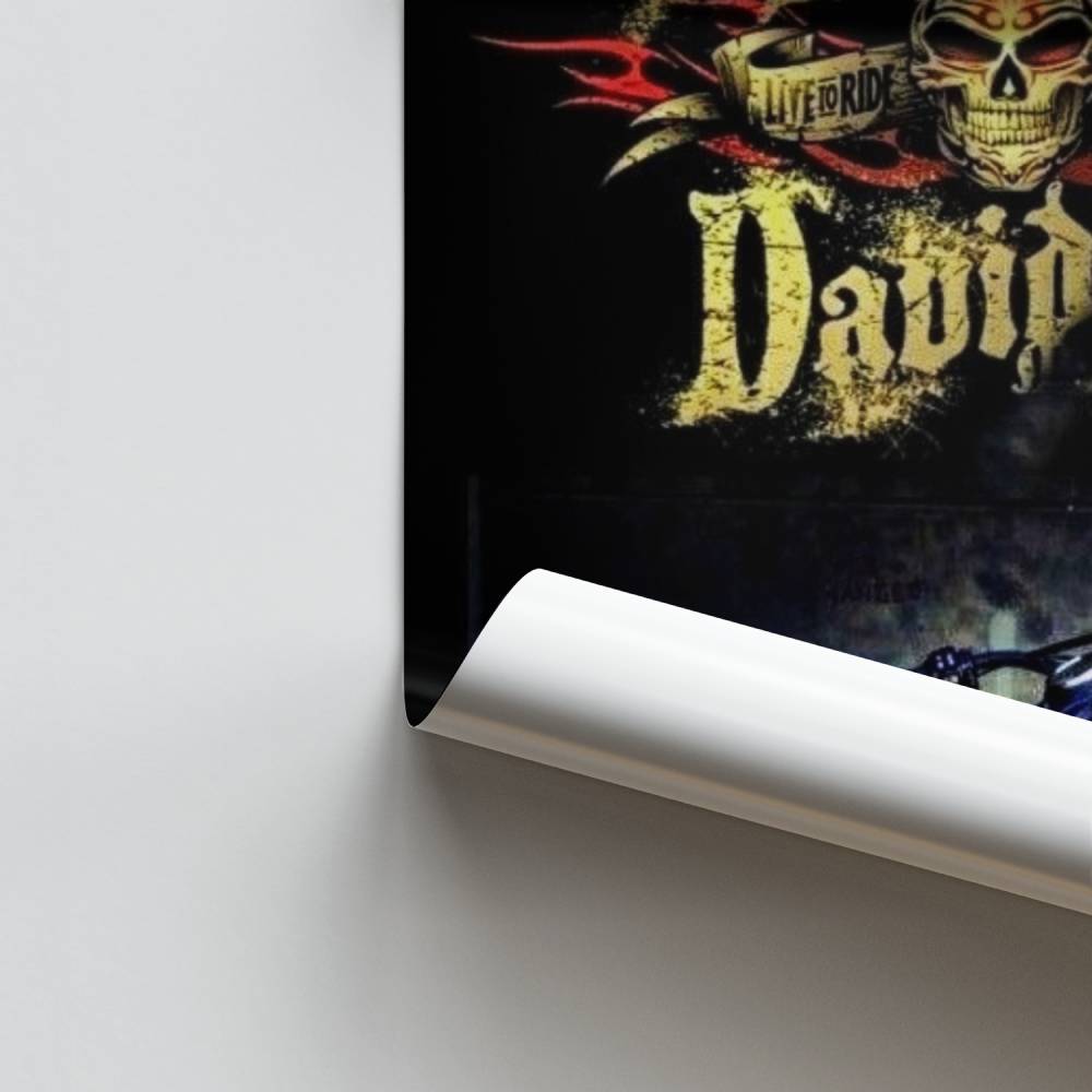 Paseo salvaje Póster