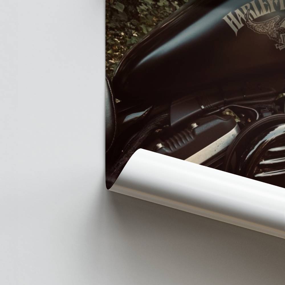 Espíritu V-Twin Póster