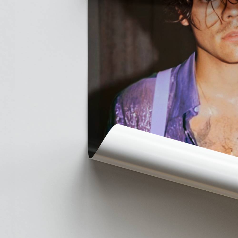 Póster Camisa Harry Styles