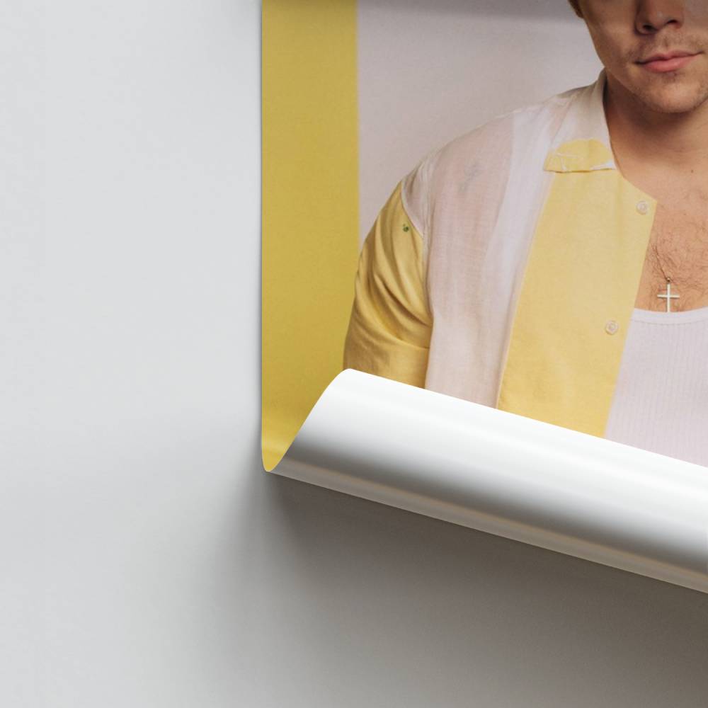 Moda de Harry Styles Póster