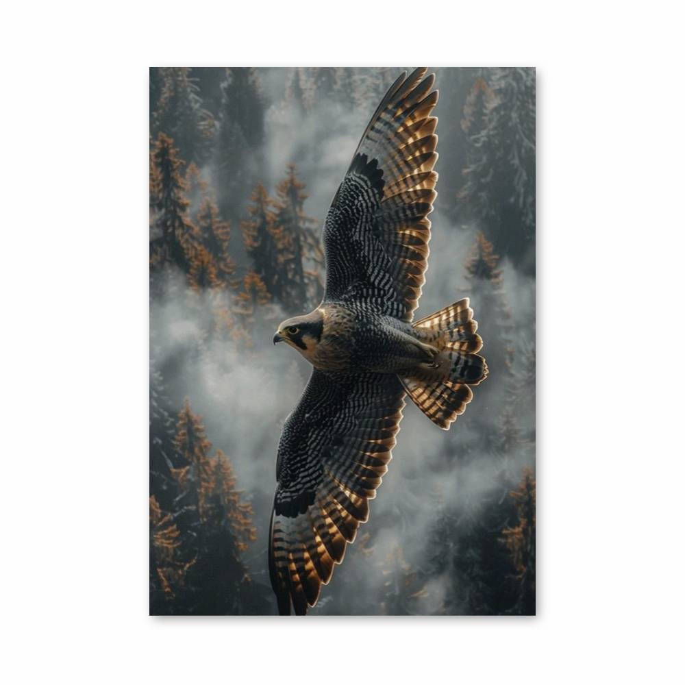 Poster Aerial Skate Leaps