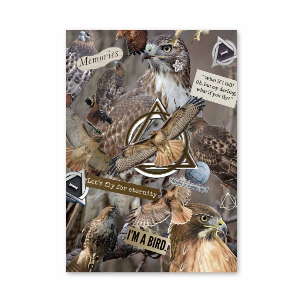 Poster Skater Icon