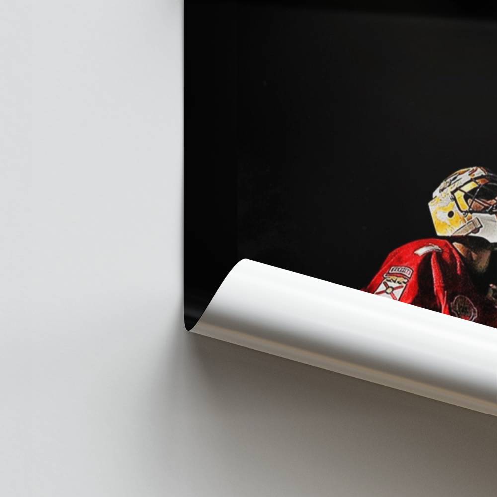 Portero de los Panthers Póster