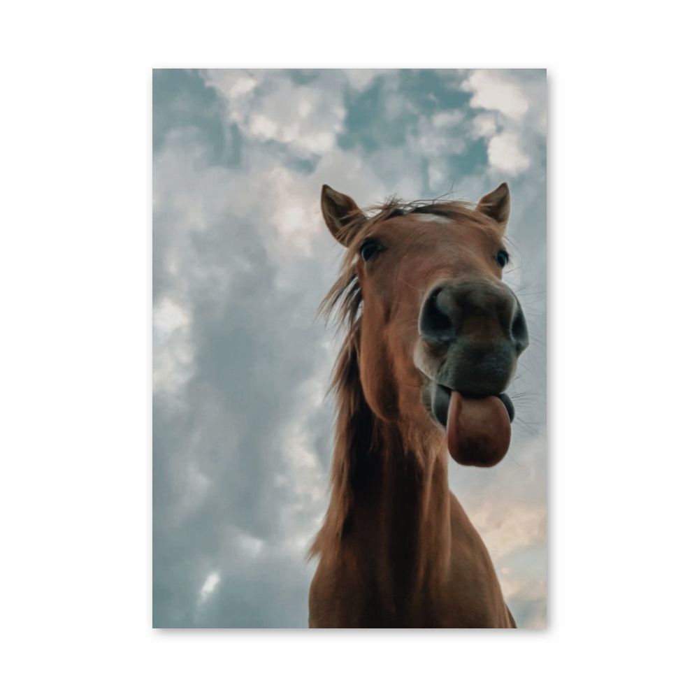 Poster Cheval Drôle