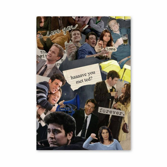 Poster Have You Met Ted