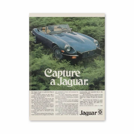Poster Capture de Jaguar