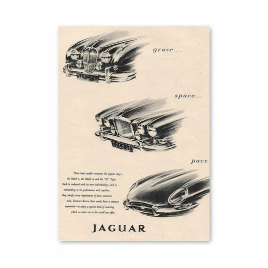 Poster Élan Élégant