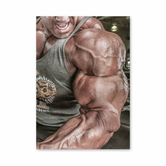 Poster Force Sculptée