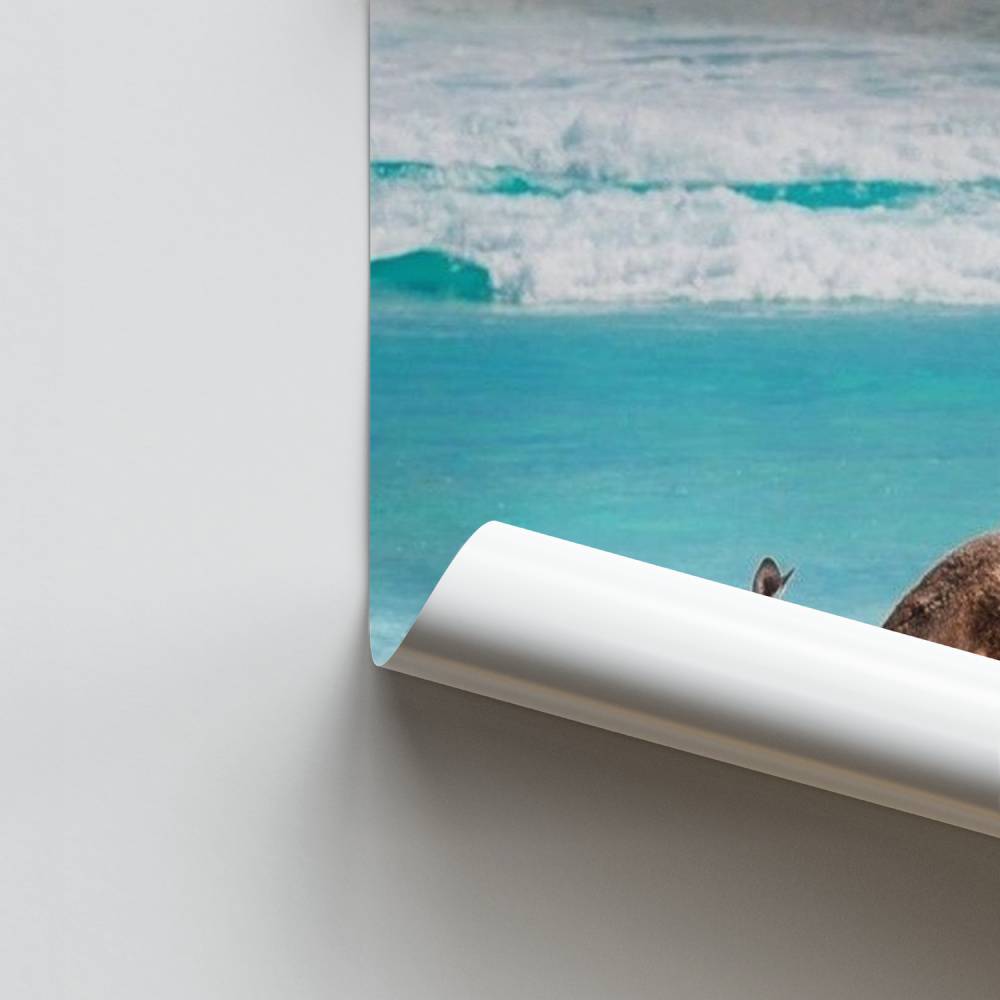 Póster Escape del Sur