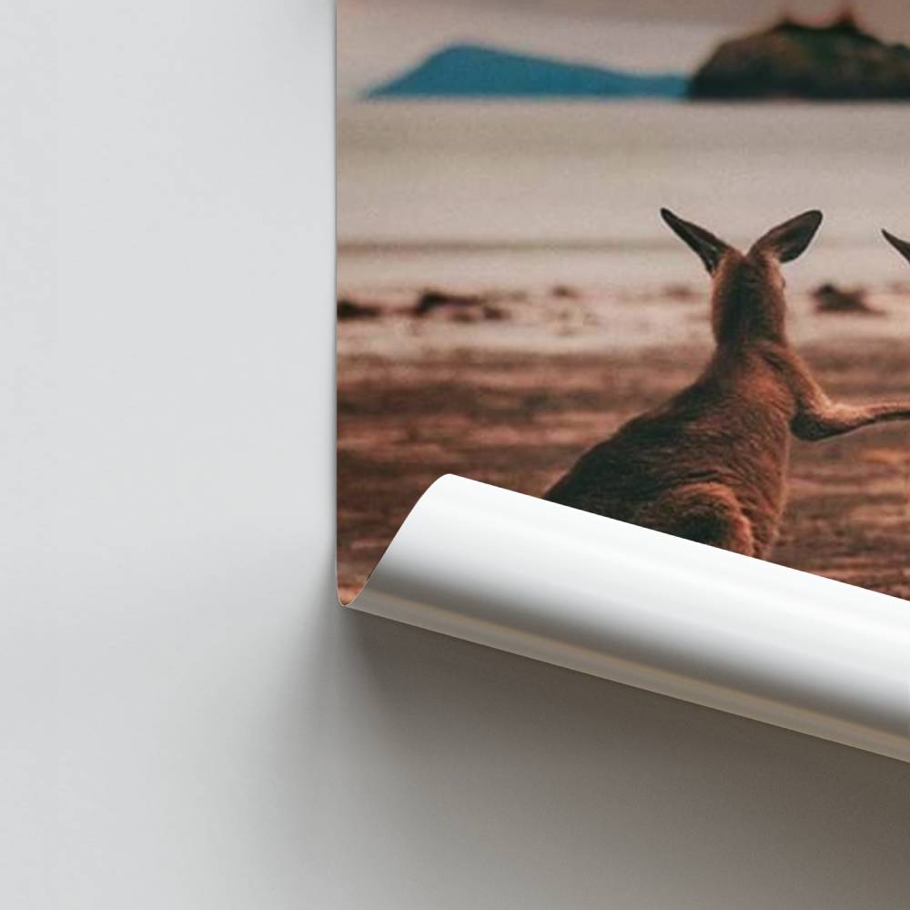 Costa del parentesco Póster