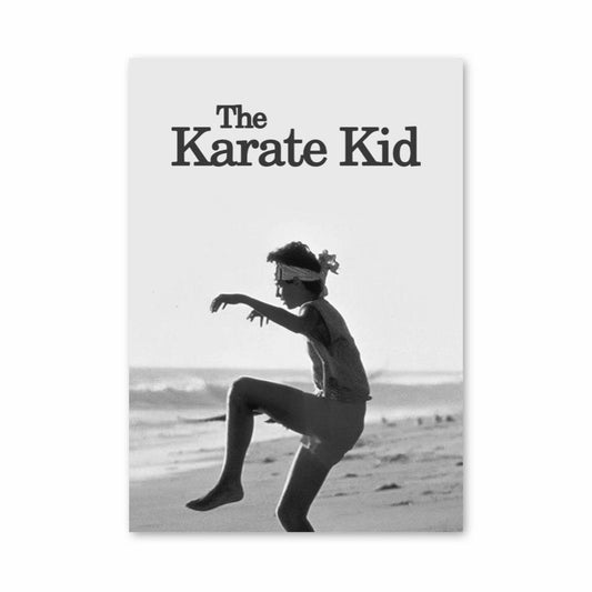 Poster The Crane Kick