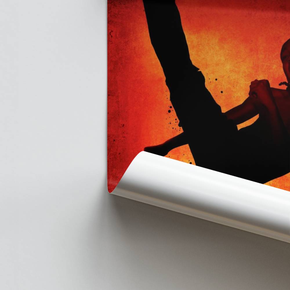 Patada de fuego Póster