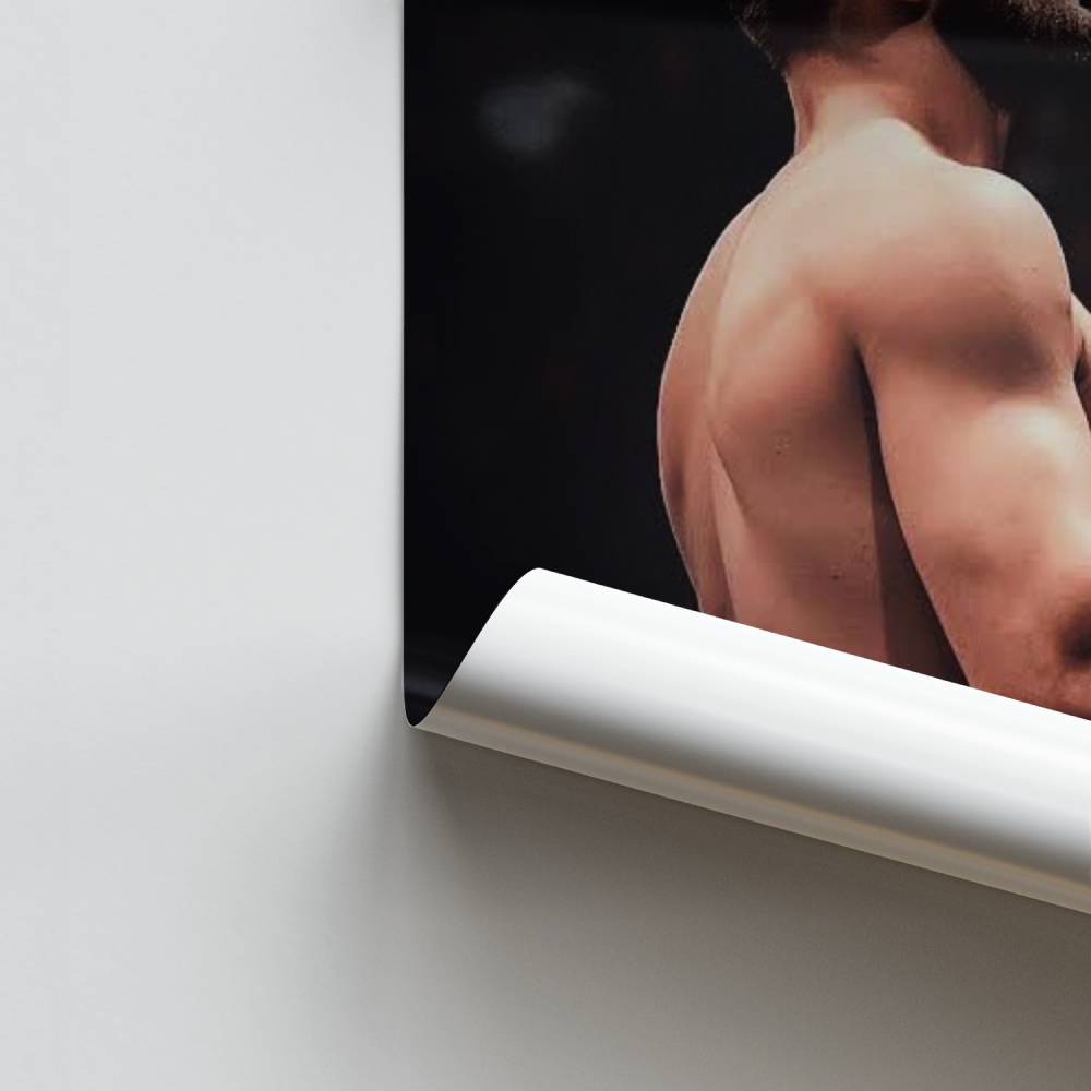 Póster El guerrero del ring