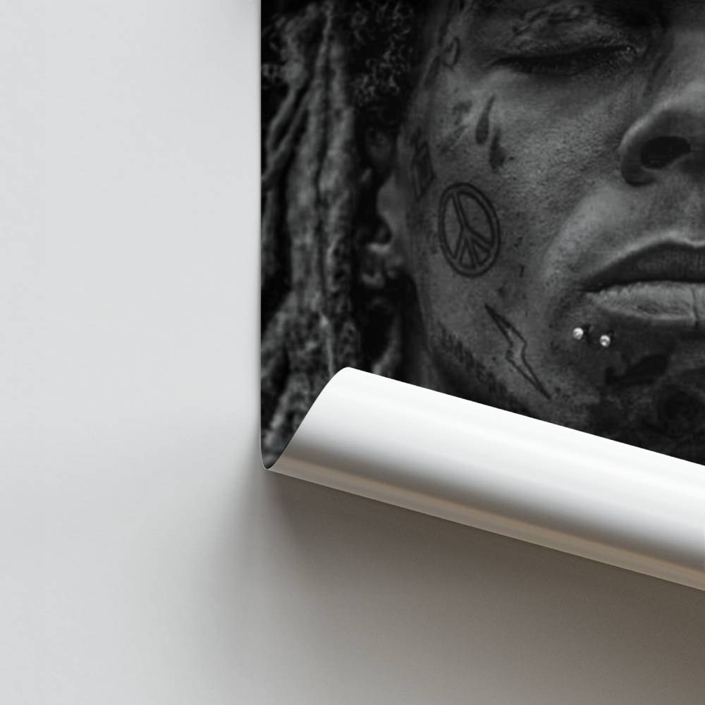 Visionario del flujo de carteles