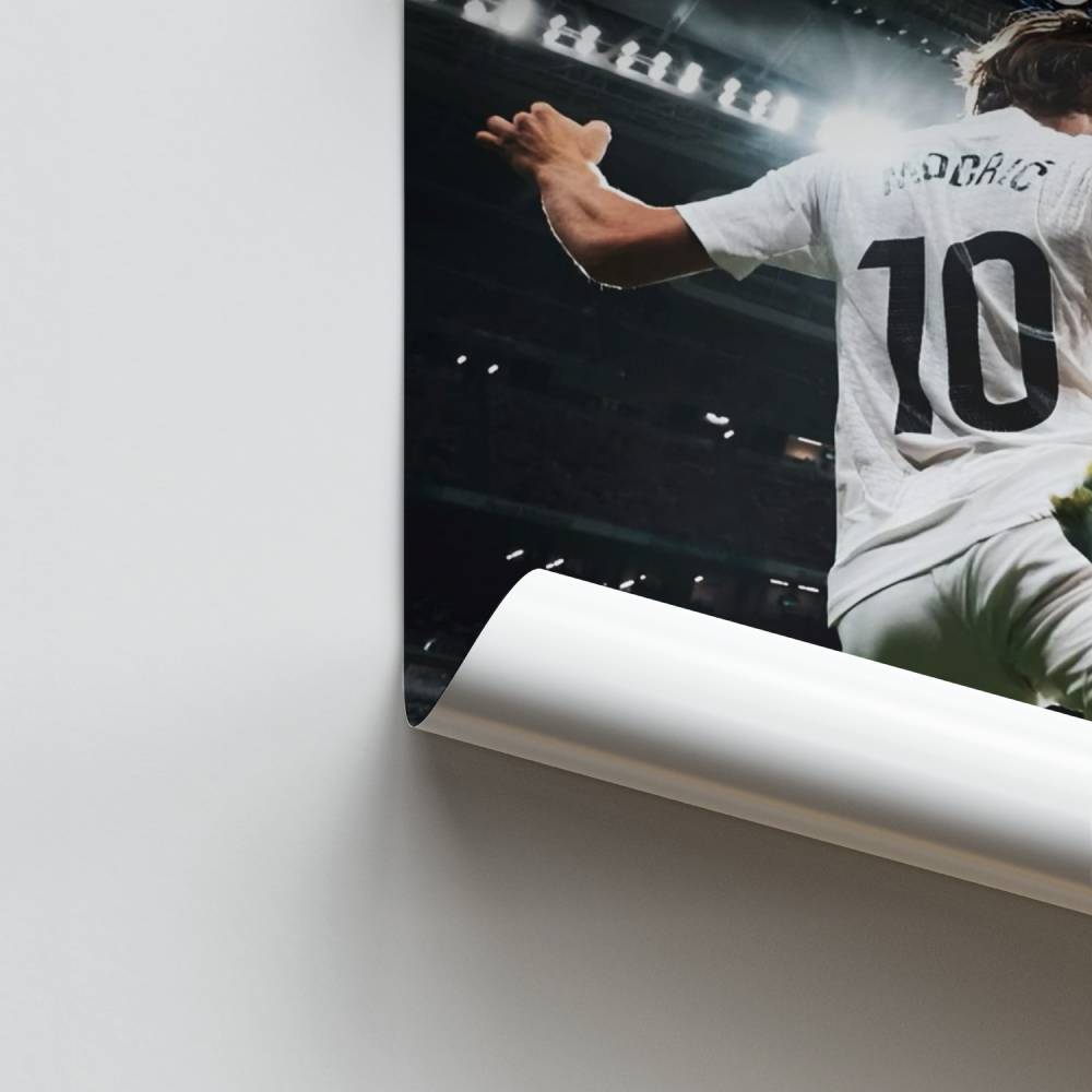 Póster Amo de la Tierra