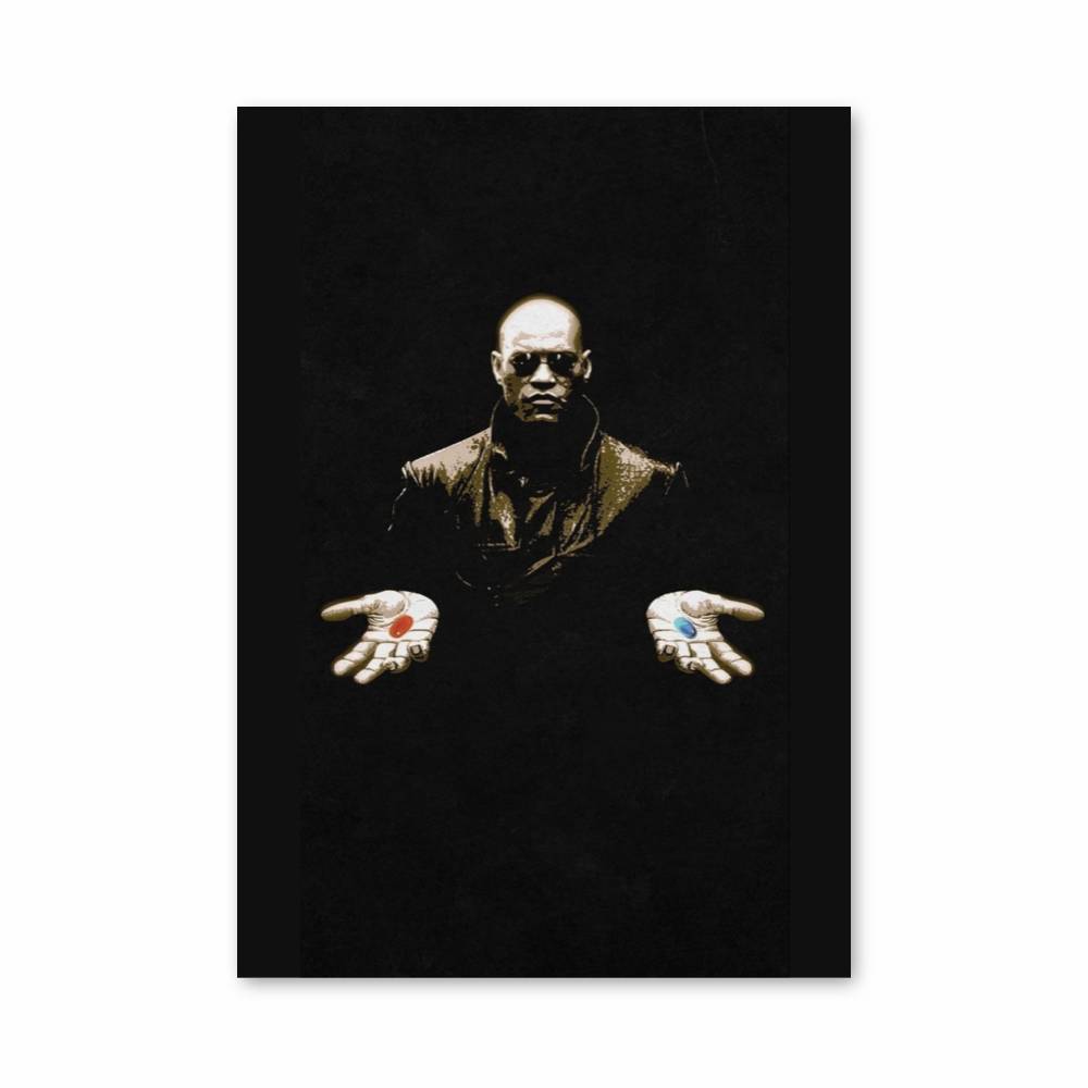Poster Choix de la Matrice
