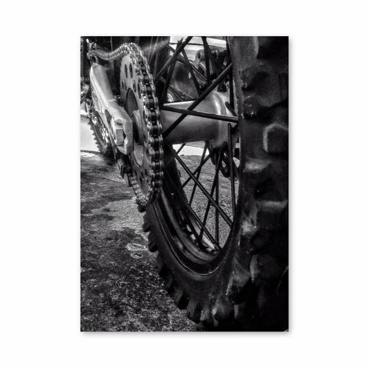 Poster Élan Rugissant