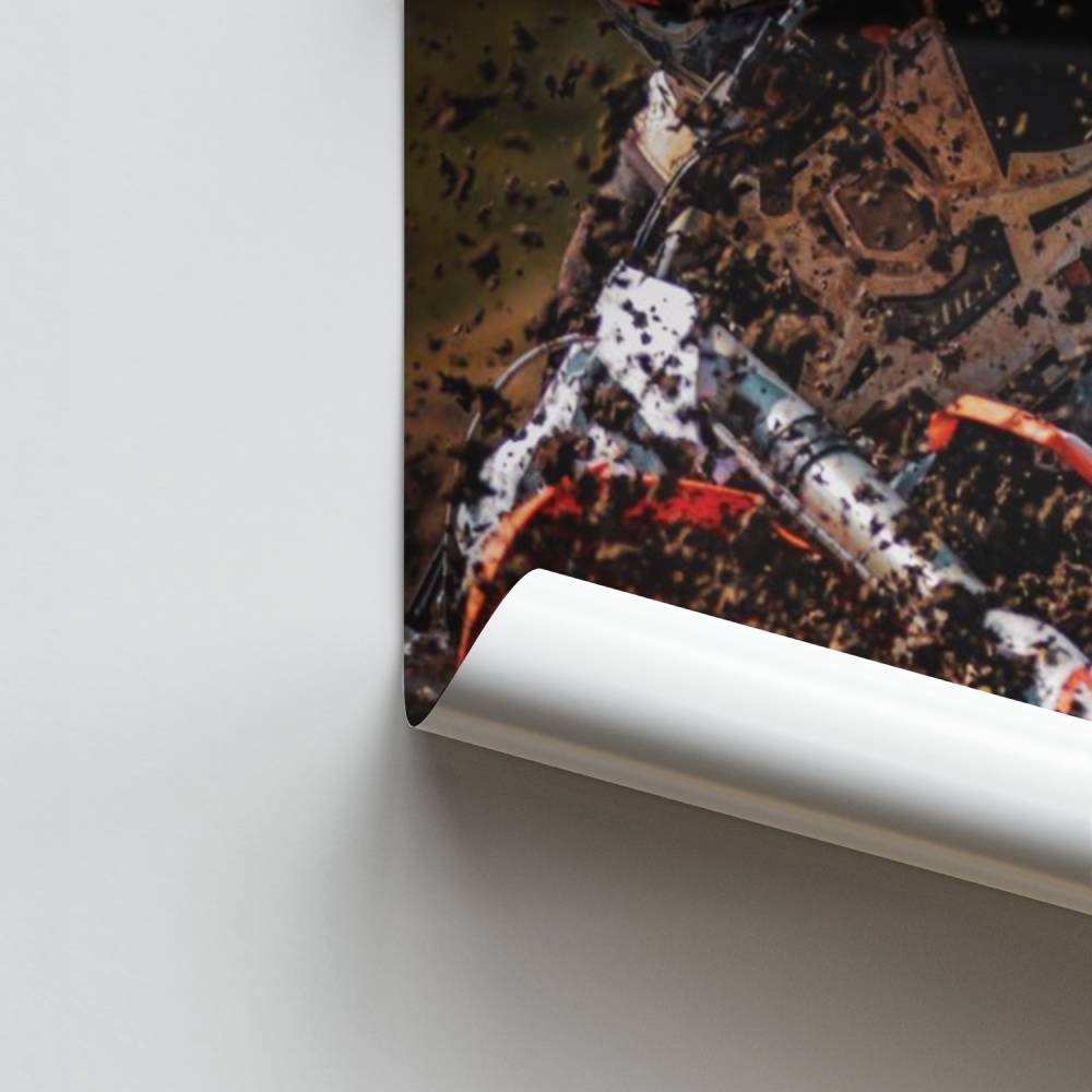 Frenesí de la Tierra Póster