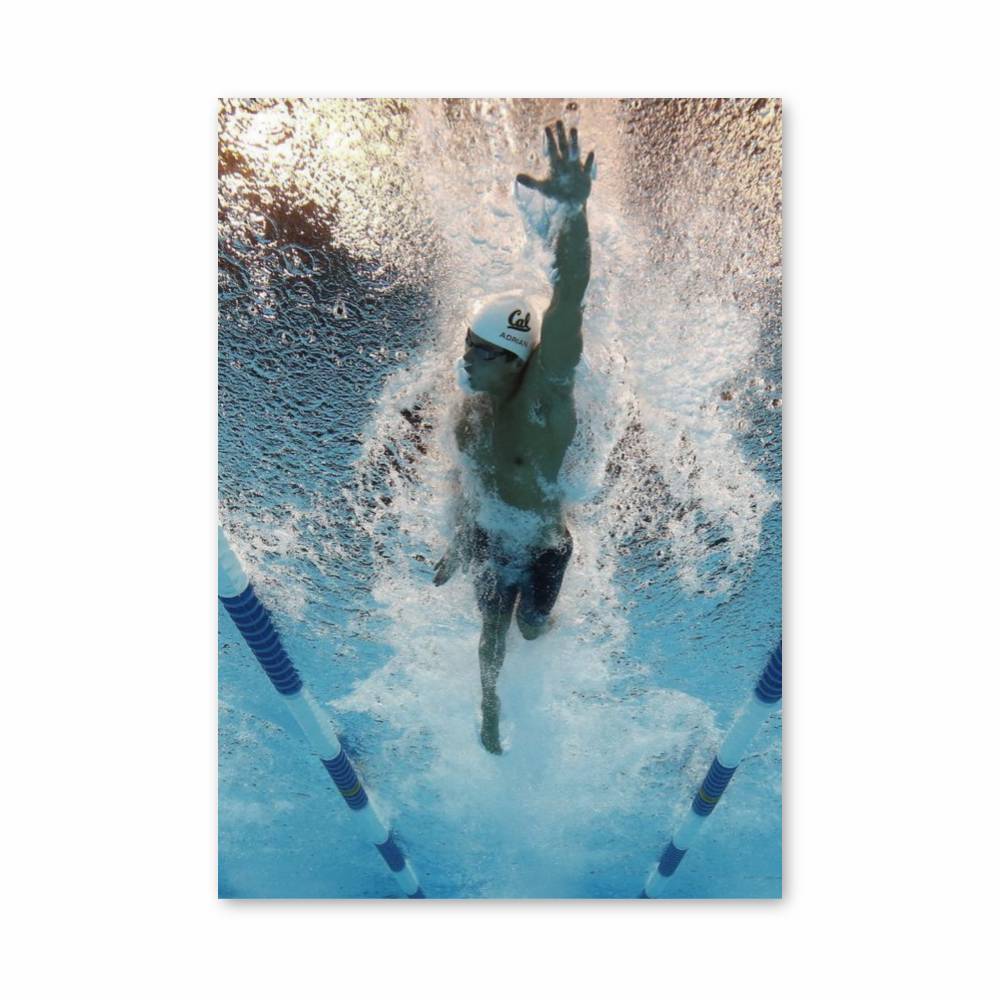 Poster Frappe Aquatique