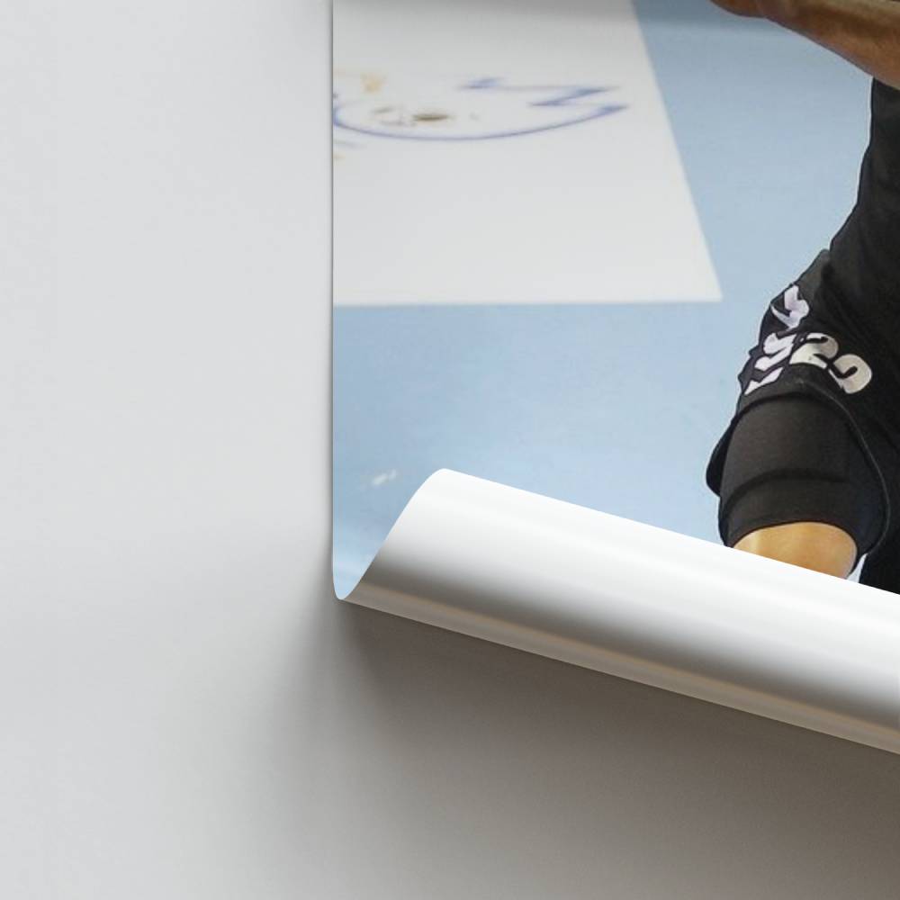 Desafío de balonmano Póster