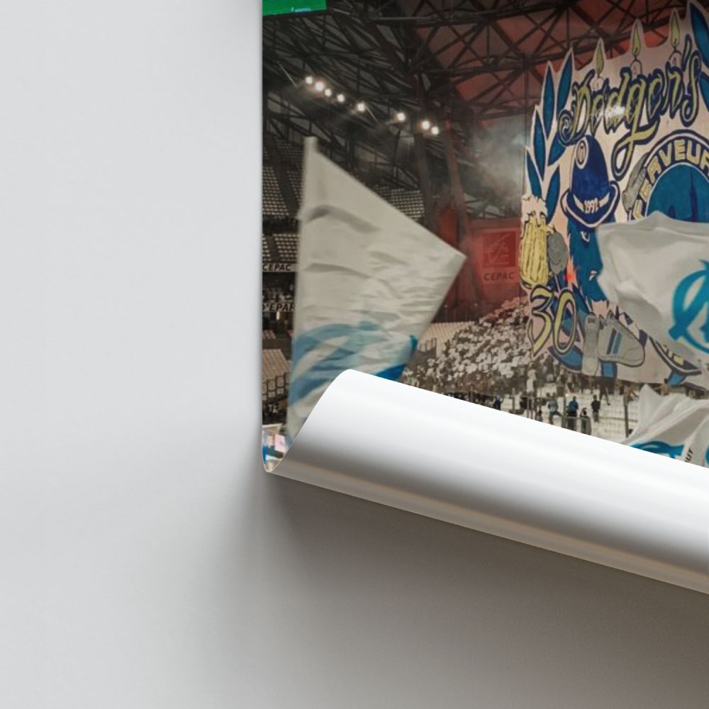 Póster Partidarios de OM