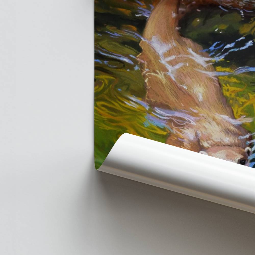 Póster Nutrias juguetonas