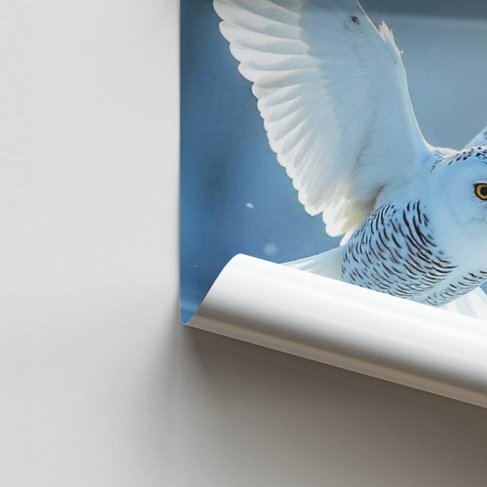 Vuelo de nieve Póster