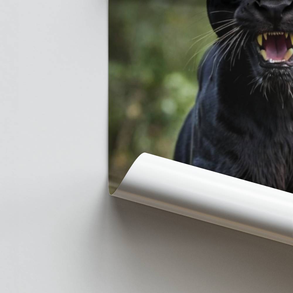 Póster Pantera Majestuosa