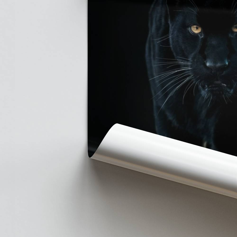 Felino oscuro Póster