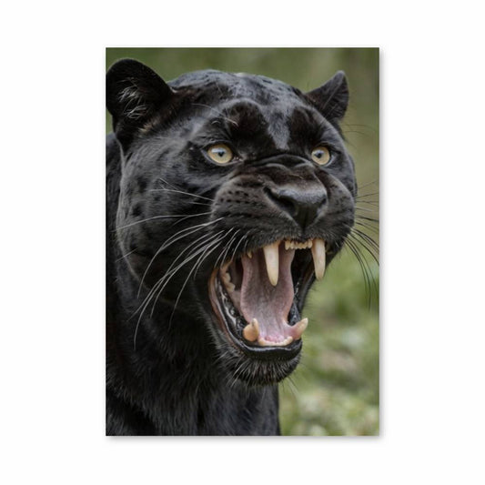 Poster Panther Roar