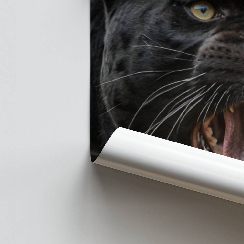 Rugido de pantera Póster