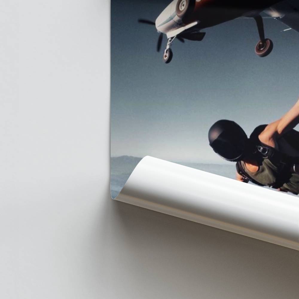 Libertad aérea Póster